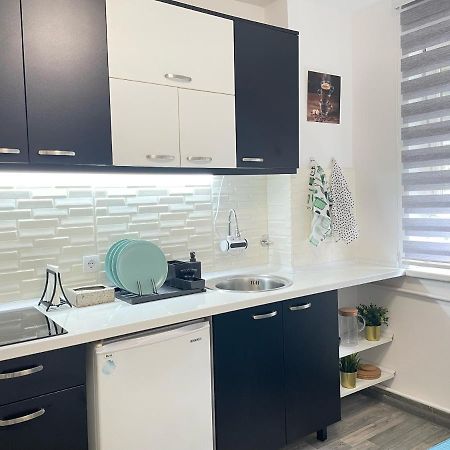 The Blue Velvet Apartment Belgrad Zewnętrze zdjęcie